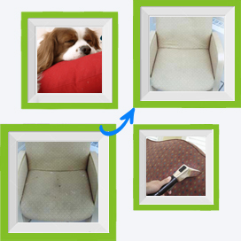 Upholstery Cleaning Services